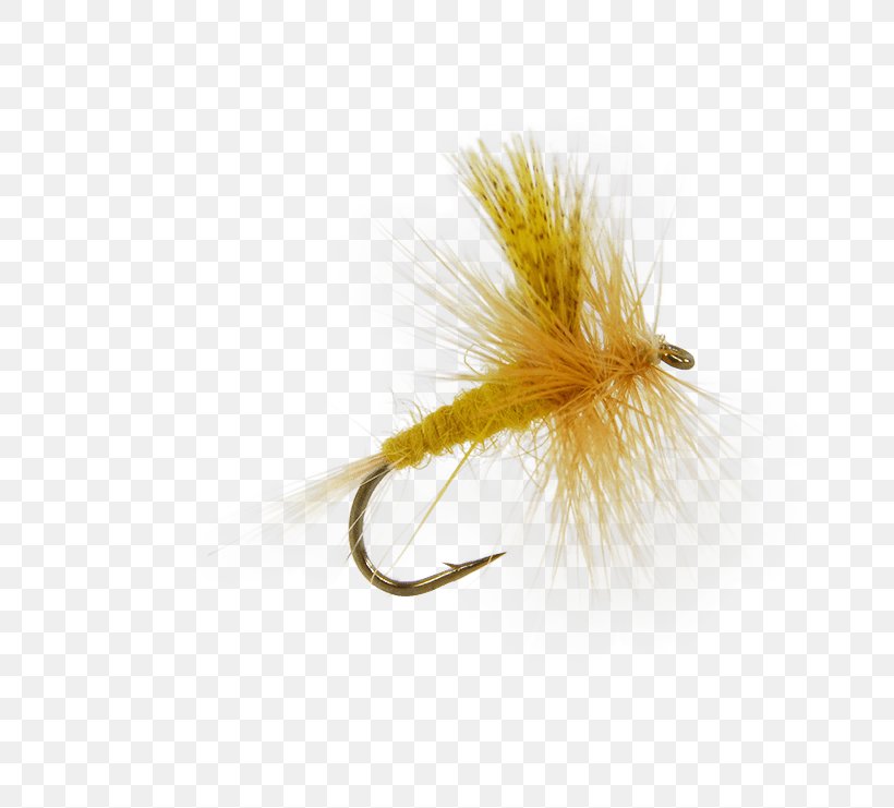 Artificial Fly Insect Dry Fly Fishing Caddisflies, PNG, 741x741px, Fly, Artificial Fly, Brand Ambassador, Caddisflies, Discounts And Allowances Download Free
