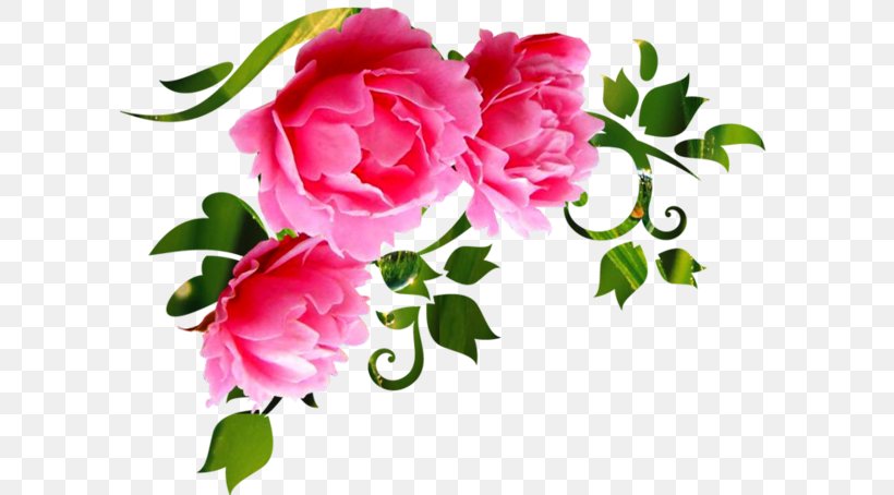 Garden Roses Cut Flowers Wall Decal Floral Design, PNG, 600x454px, Garden Roses, Allrussian Library Day, Annual Plant, Cabbage Rose, Carnation Download Free