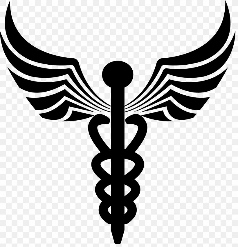 Staff Of Hermes Integrated Spaceflight Services Caduceus As A Symbol Of Medicine Health Care, PNG, 1500x1559px, Staff Of Hermes, Black And White, Caduceus As A Symbol Of Medicine, General Surgery, Health Care Download Free
