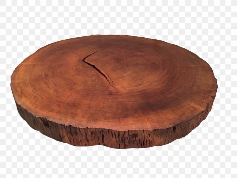 Table Wood Trunk Tree Ceramic, PNG, 3264x2448px, Table, Biscuits, Bistro, Bowl, Centrepiece Download Free