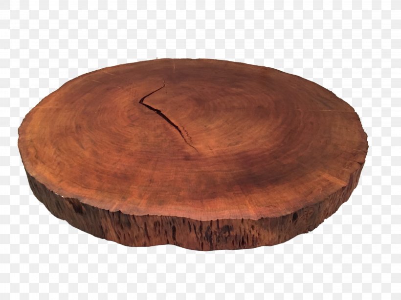 Table Wood Trunk Tree Ceramic Png 3264x2448px Table Biscuits