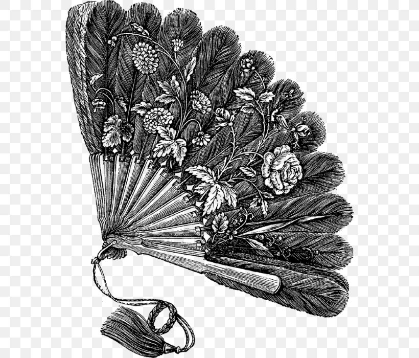 Hand Fan Drawing Coloring Book Clip Art, PNG, 564x700px, Hand Fan, Art, Blackandwhite, Botany, Coloring Book Download Free