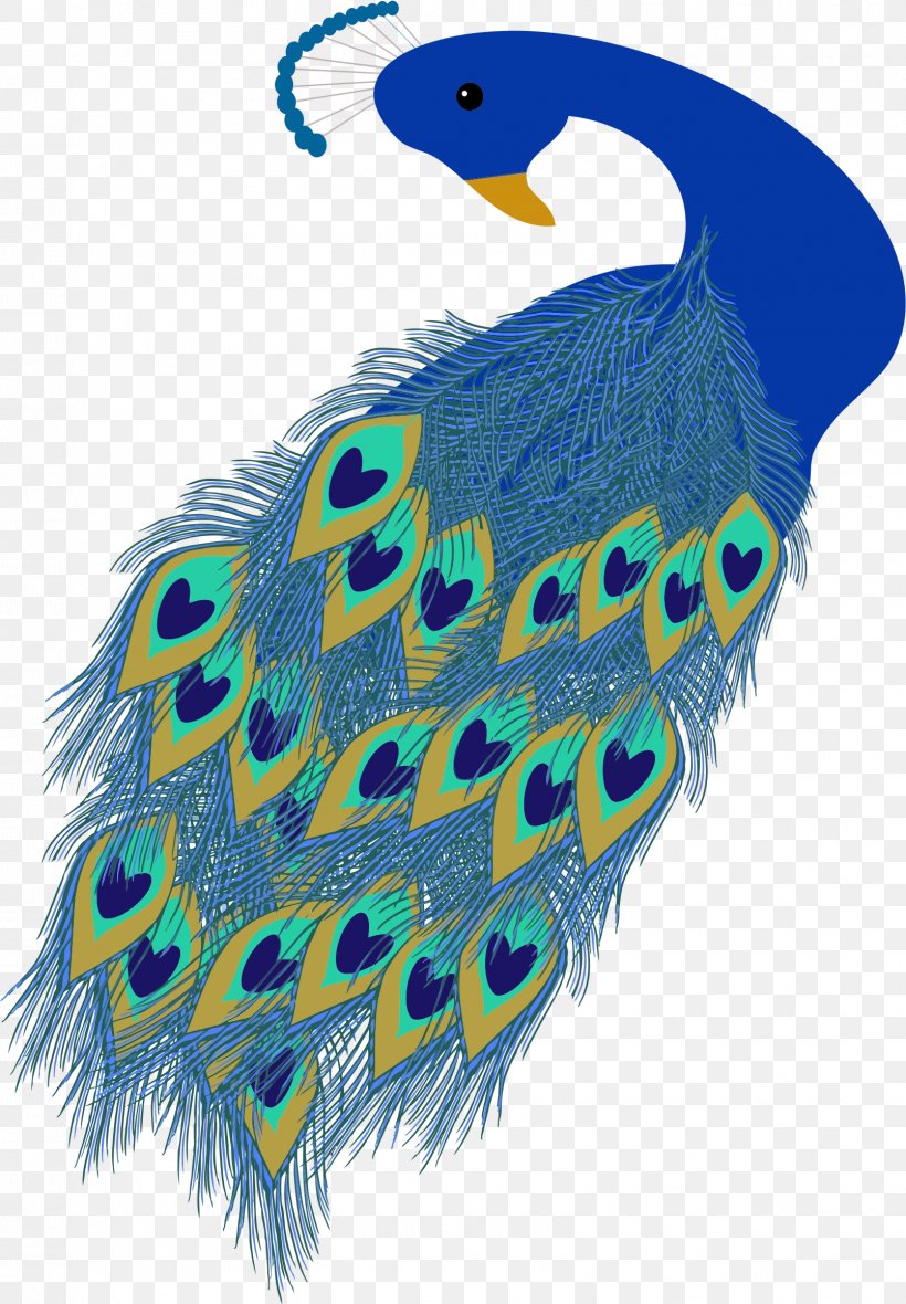 Peafowl Clip Art, PNG, 1608x2314px, Peafowl, Beak, Bird, Drawing, Feather Download Free