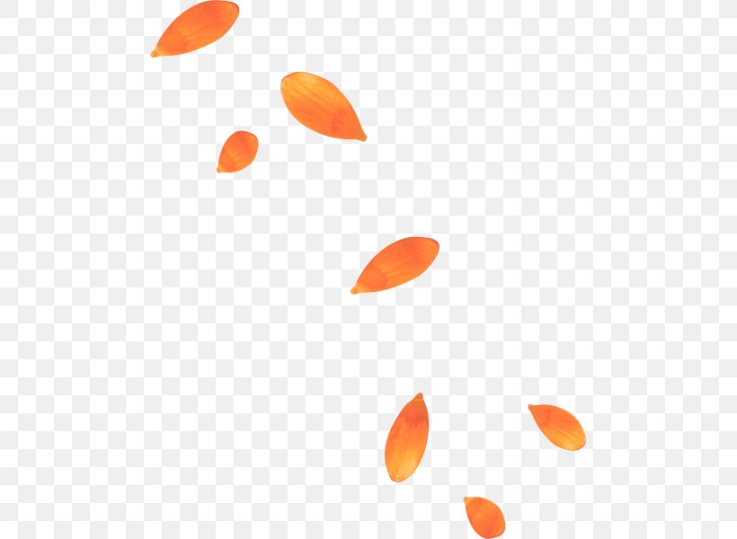 Petal Yellow Orange, PNG, 485x600px, Petal, Blue, Color, Flower, Google Images Download Free