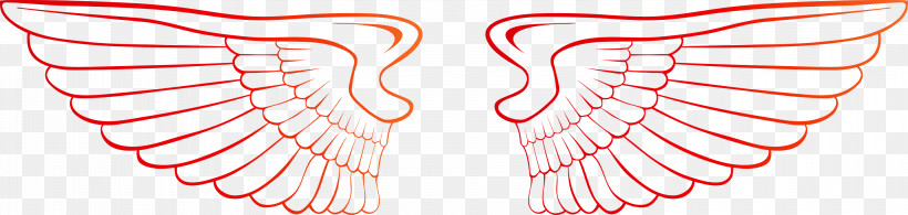 Wings Bird Wings Angle Wings, PNG, 3000x715px, Wings, Angle Wings, Bird Wings, Ear, Line Download Free