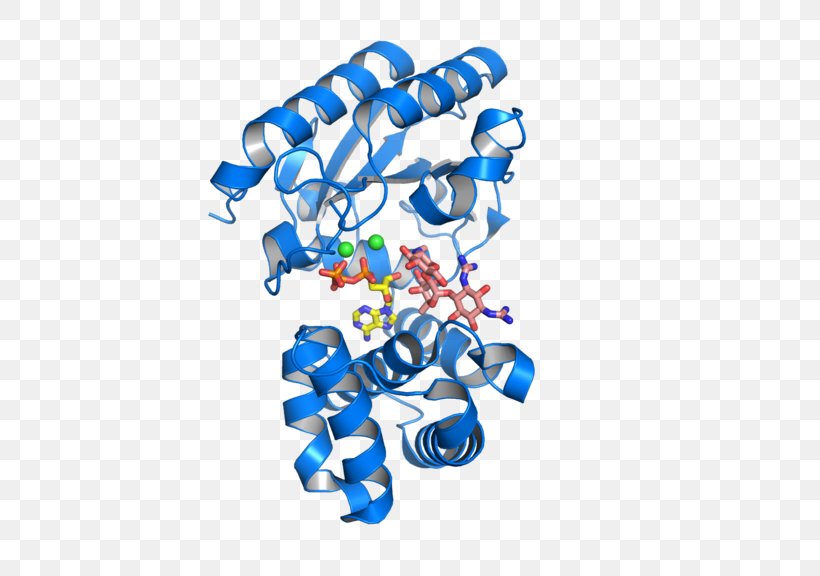 Antimicrobial Resistance Streptomycin Antibiotics Pharmaceutical Drug Protein, PNG, 576x576px, Antimicrobial Resistance, Antibiotics, Bacteria, Blue, Enzyme Download Free