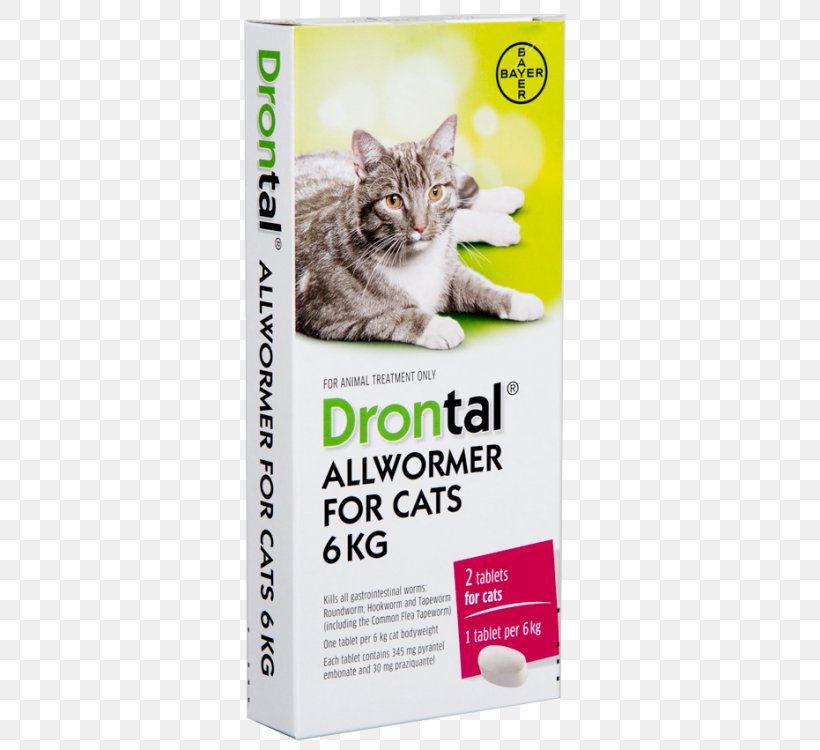 Cat Roundworms Dog Kitten, PNG, 750x750px, Cat, Albendazole, Anthelmintic, Cat Like Mammal, Cat Supply Download Free