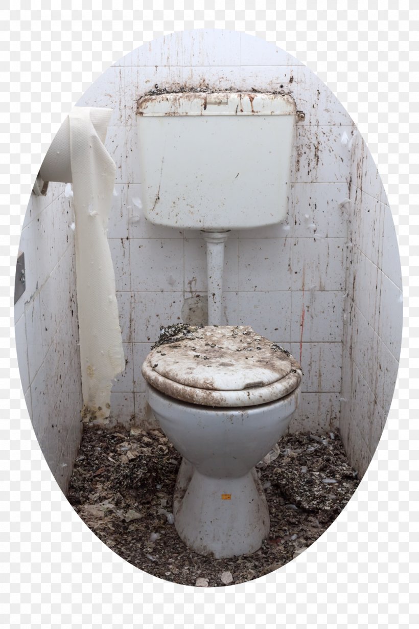 Public Toilet Bathroom Stock Photography Flush Toilet, PNG, 1000x1500px, Toilet, Bathroom, Flush Toilet, Fotosearch, House Download Free