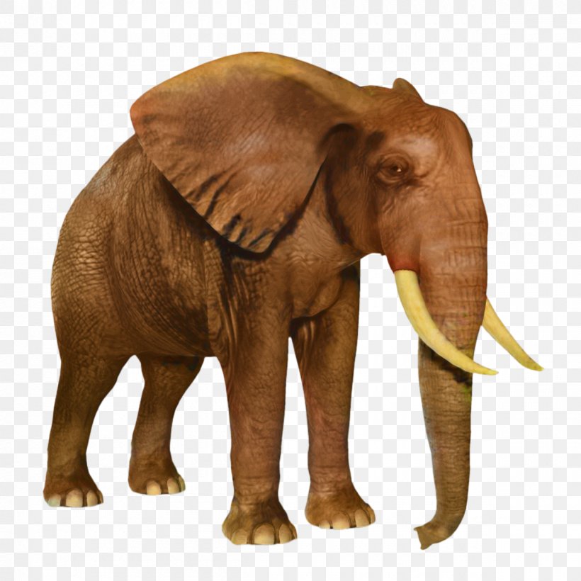 African Bush Elephant Clip Art Image, PNG, 1200x1200px, African Bush Elephant, African Elephant, African Forest Elephant, Animal, Animal Figure Download Free