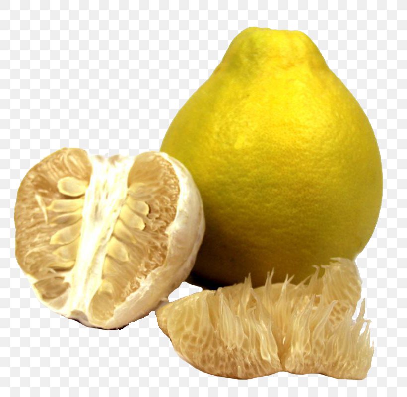 Citron Rong County, Guangxi Pomelo Meixian District Lemon, PNG, 800x800px, Citron, Citric Acid, Citrus, Citrus Junos, Citrus Maxima U2018shatianu2019 Download Free