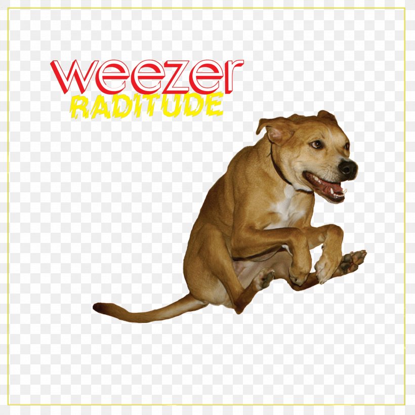 Weezer Raditude Album Buddy Holly Maladroit, PNG, 1500x1500px, Watercolor, Cartoon, Flower, Frame, Heart Download Free