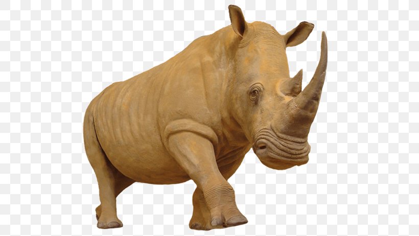 Rhinoceros Hippopotamus Horn Elephant, PNG, 660x462px, Rhinoceros, Basabizitza, Black Rhinoceros, Elephant, Fauna Download Free