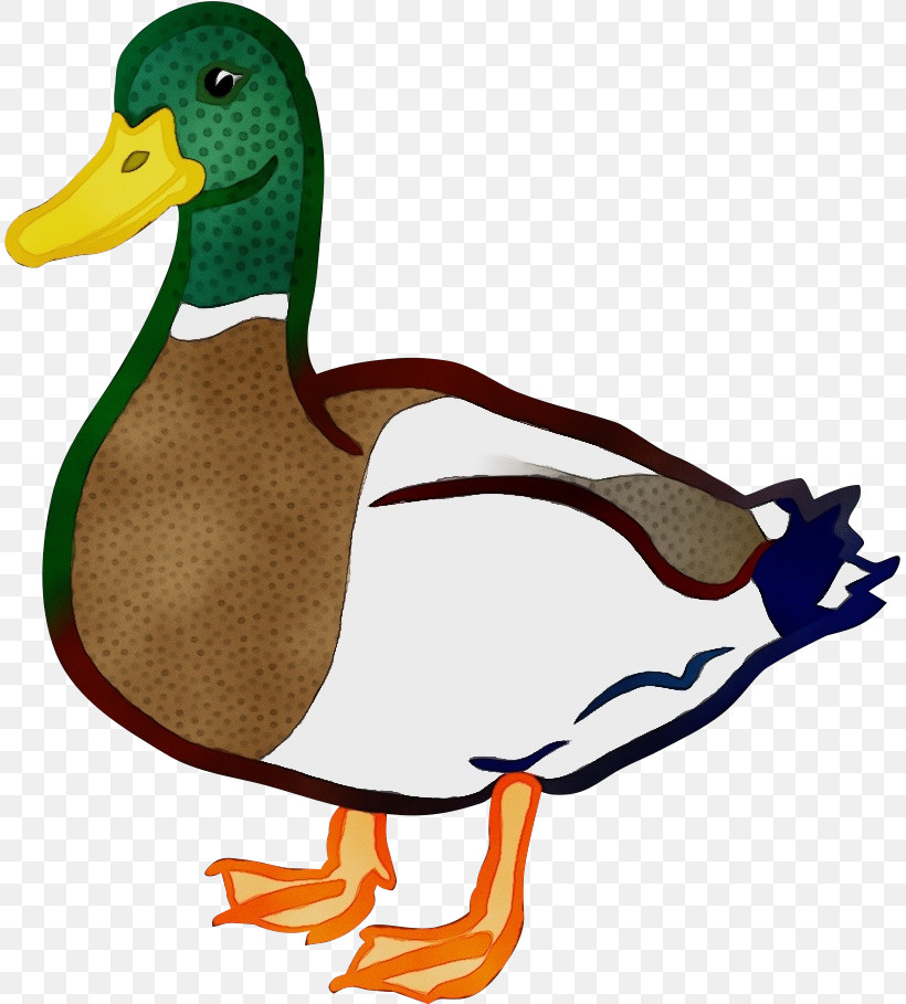 Duck Mallard Bird Ducks, Geese And Swans Water Bird, PNG, 812x909px, Watercolor, American Black Duck, Beak, Bird, Duck Download Free