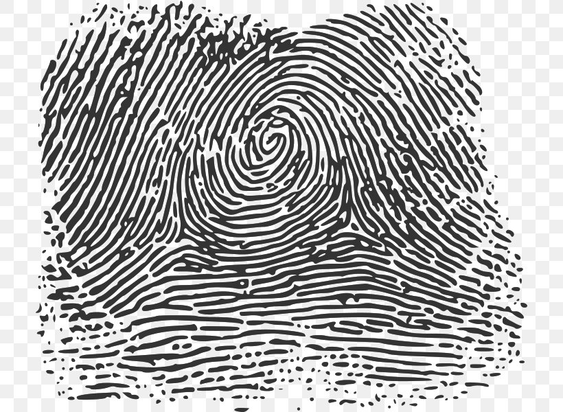 Fingerprint Wikimedia Commons Wikimedia Foundation Printing, PNG, 716x600px, Fingerprint, Area, Biometrics, Black, Black And White Download Free
