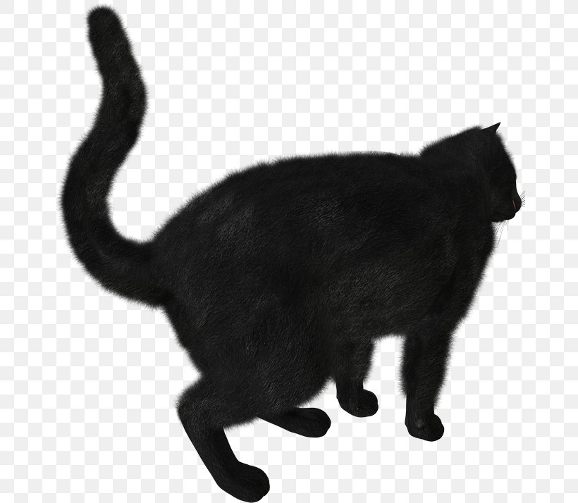 Kitten Black Cat Scottish Fold Clip Art, PNG, 670x714px, Kitten, Asian, Black, Black And White, Black Cat Download Free