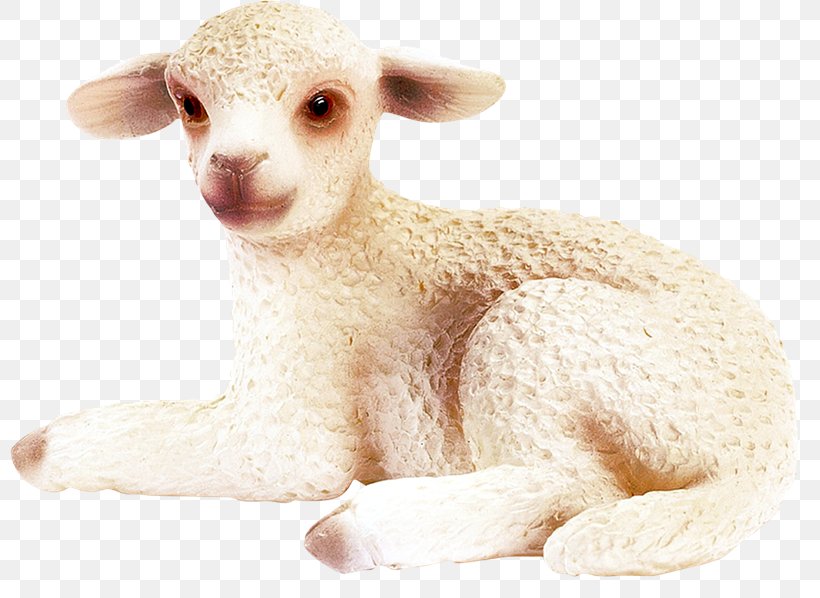 Sheep Agneau Image Cartoon, PNG, 800x598px, Sheep, Agneau, Bullyland, Cartoon, Cow Goat Family Download Free