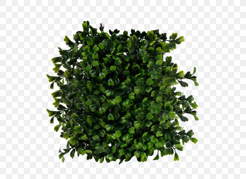 Shrub Computer File, PNG, 1024x746px, Shrub, Filename Extension, Grass, Image File Formats, Leaf Download Free