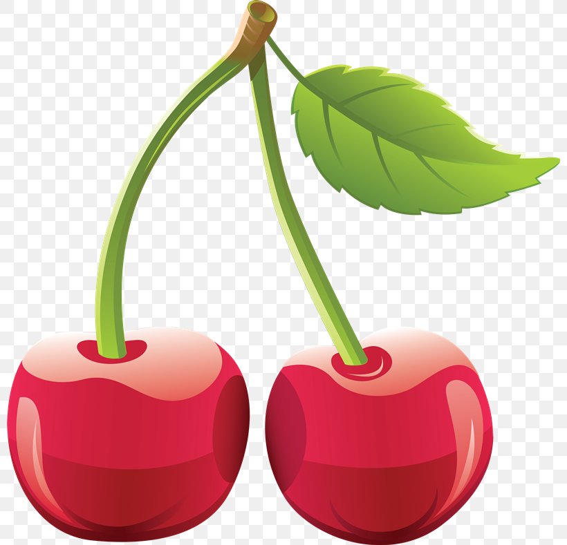 Cherry Clip Art, PNG, 800x789px, Cherry, Flowering Plant, Food, Fruit, Image Resolution Download Free