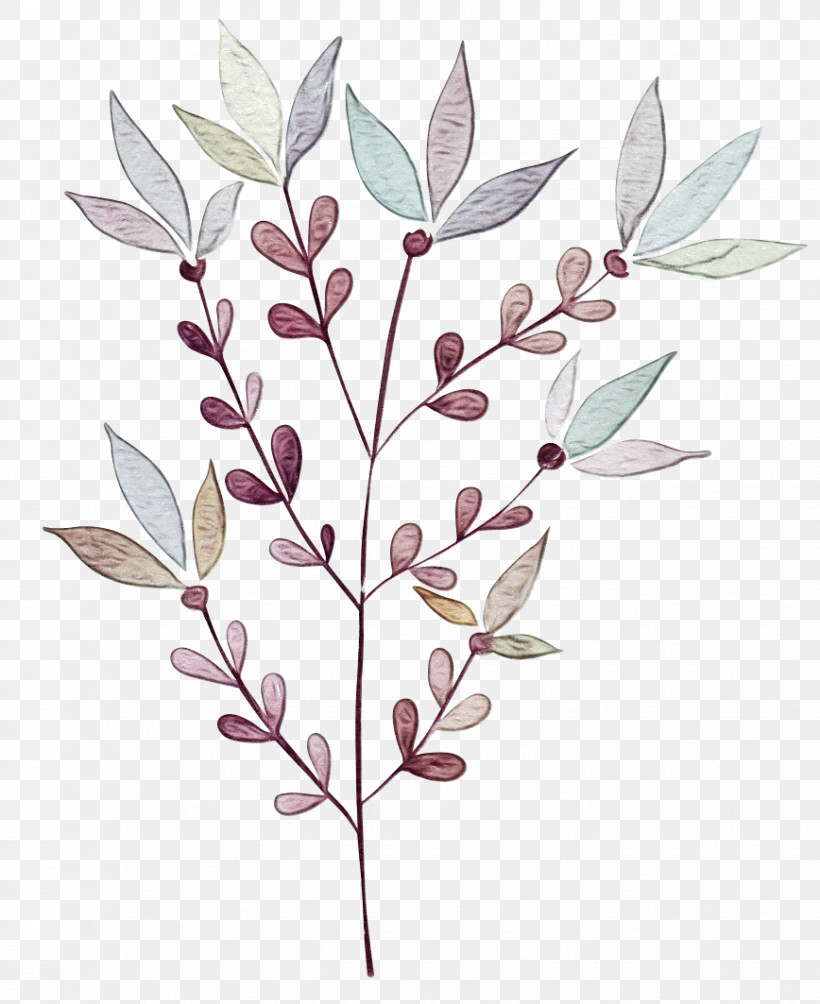 Leaf Plant Stem Twig Flower Tree, PNG, 868x1063px, Watercolor, Biology, Flora, Flower, Leaf Download Free