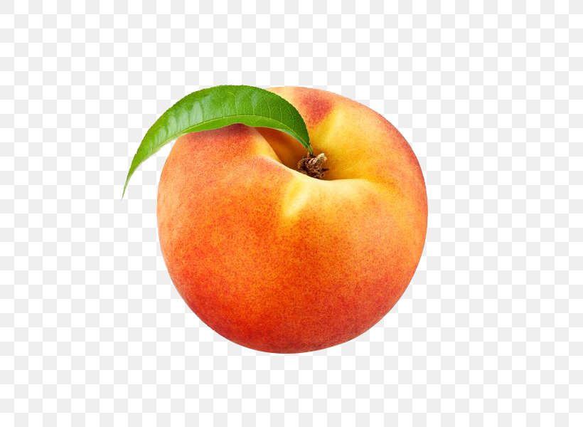 James And The Giant Peach Peaches And Cream Flavor Electronic Cigarette Aerosol And Liquid, PNG, 600x600px, James And The Giant Peach, Apple, Diacetyl, Diet Food, Electronic Cigarette Download Free