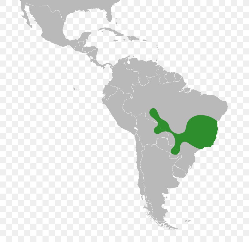 Latin America South America Central America Subregion Caribbean, PNG, 740x800px, Latin America, Americas, Caribbean, Central America, Geography Download Free
