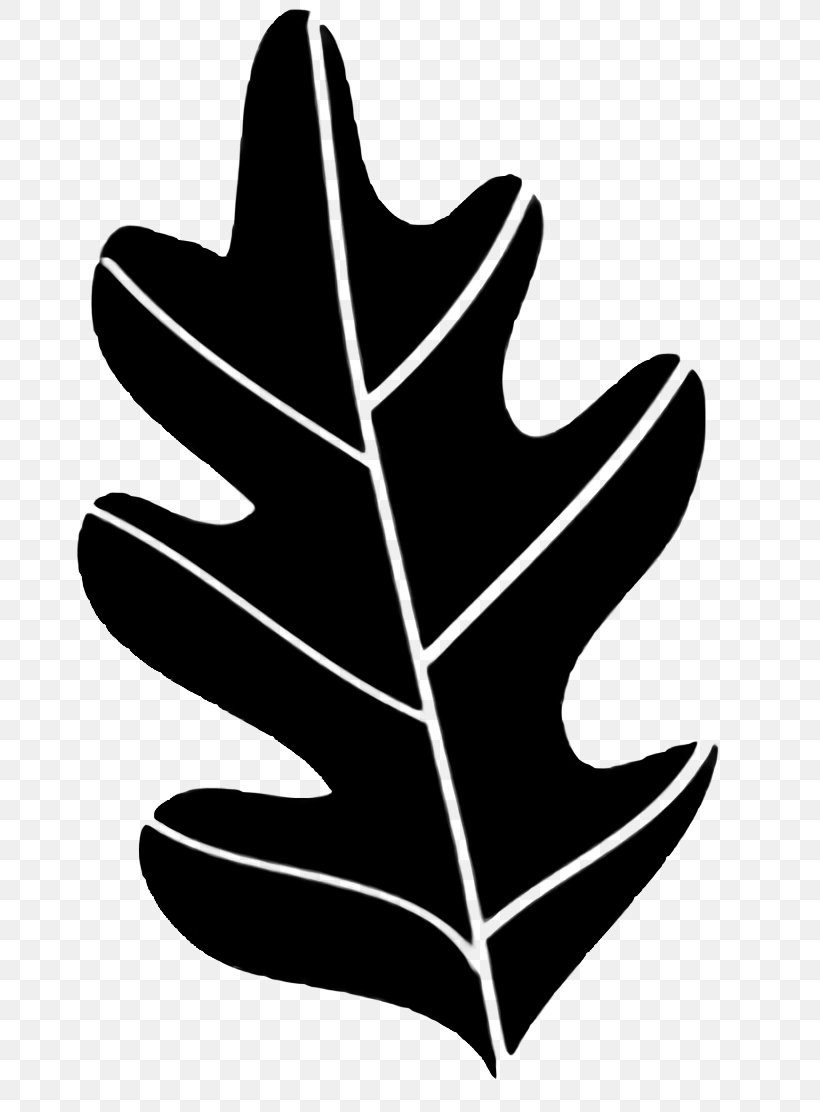 Leaf Logo, PNG, 768x1112px, Tree, Blackandwhite, Hand, Leaf, Logo Download Free
