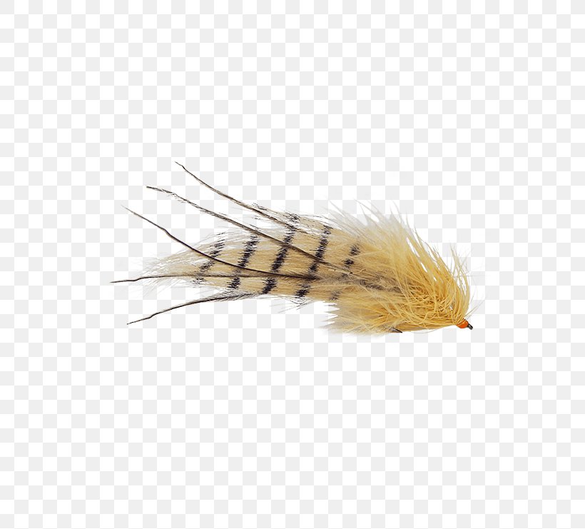 Magazine Holly Flies Fly Fishing Feather Issuu, PNG, 555x741px, Magazine, Artificial Fly, Cancer, Chartreuse, Email Download Free