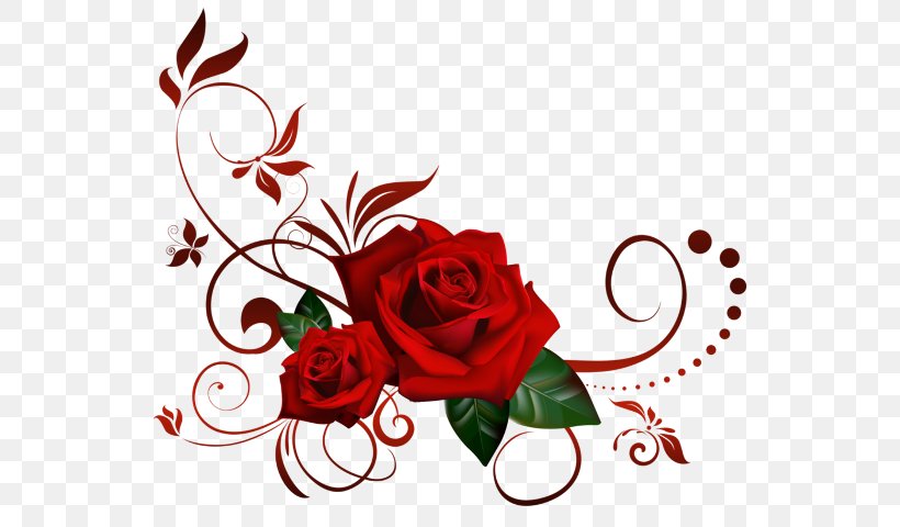 Rose Clip Art, PNG, 565x480px, Rose, Art, Cut Flowers, Flora, Floral Design Download Free