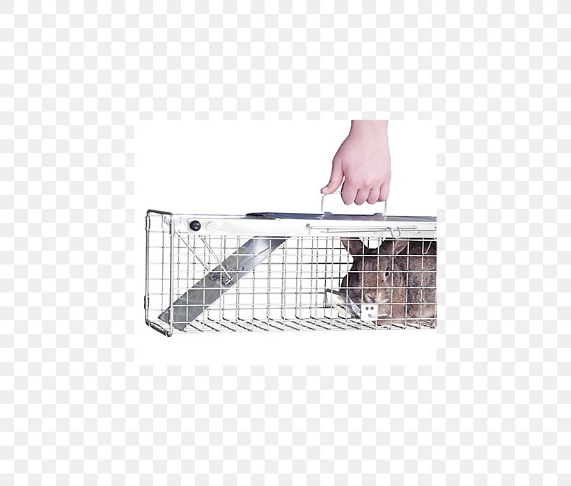 Trapping Cage American Mink European Rabbit Animal, PNG, 698x698px, Trapping, American Mink, Animal, Animal Trap, Beech Marten Download Free