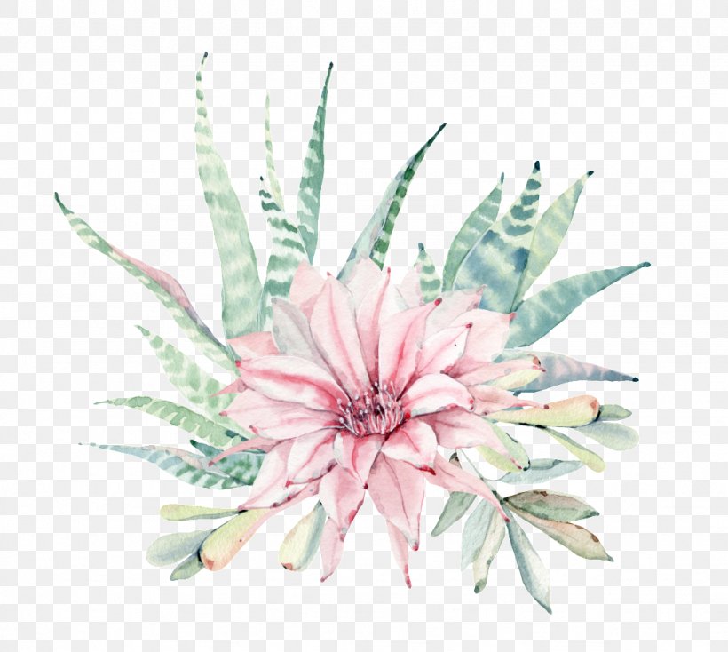 Watercolor Painting Drawing Stock Illustration, PNG, 1024x917px, Watercolor Painting, Art, Botany, Cactus, Canvas Download Free