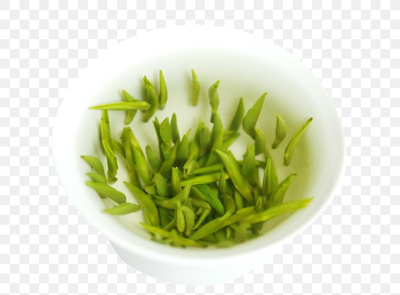 Xinyang Maojian Tea Green Tea Flowering Tea Sejak, PNG, 790x604px, Tea, Antioxidant, Biluochun, Camellia Sinensis, Commodity Download Free