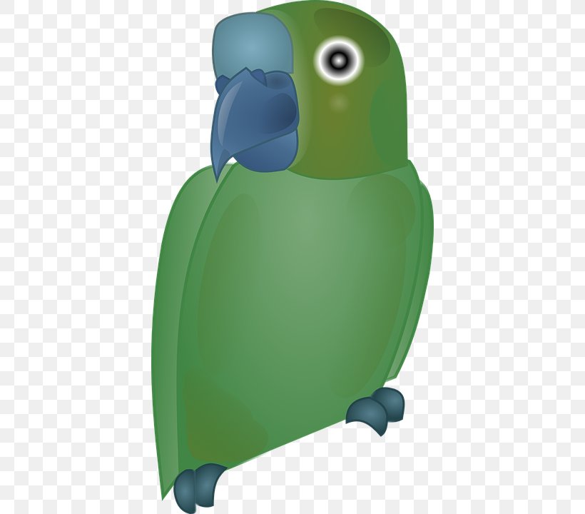 Parrot Bird Clip Art, PNG, 396x720px, Parrot, Amphibian, Beak, Bird, Flightless Bird Download Free