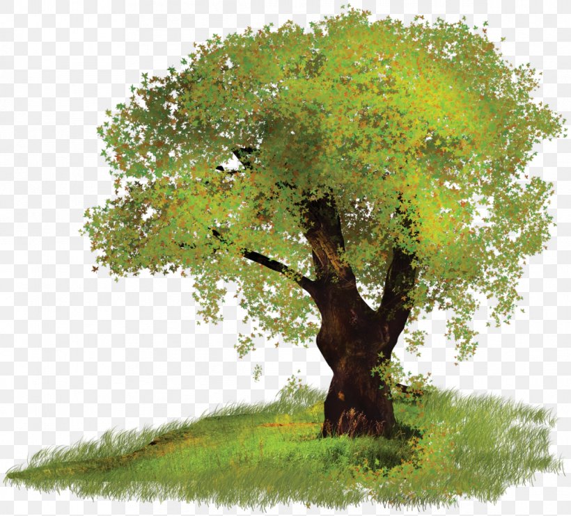 Tree Digital Image Clip Art, PNG, 1193x1080px, Tree, Branch, Digital Image, Grass, Information Download Free