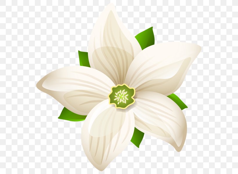 white flower clip