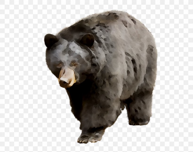 Grizzly Bear American Black Bear Leporids, PNG, 1136x893px, Grizzly Bear, American Black Bear, Animal Figure, Bear, Brown Bear Download Free