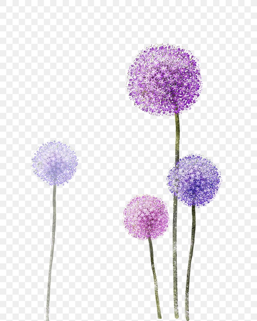 OPPO F3 Dandelion, PNG, 658x1024px, Oppo F3, Dandelion, Drawing, Floral Design, Floristry Download Free