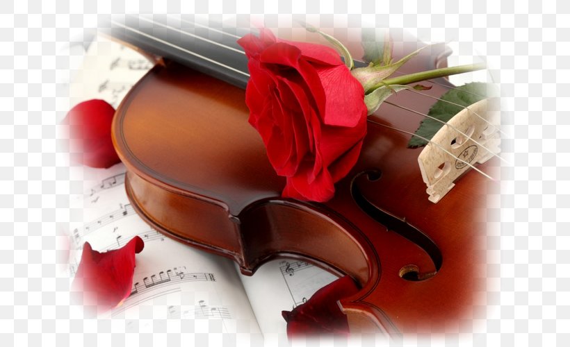 YouTube Love Romance Song, PNG, 667x500px, Watercolor, Cartoon, Flower, Frame, Heart Download Free