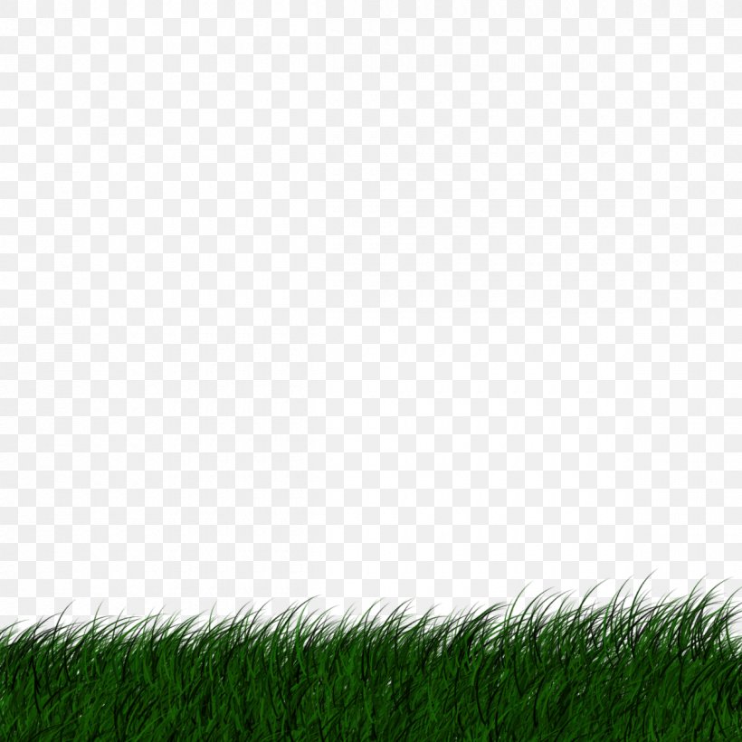 Desktop Wallpaper Lawn Image Transparency, PNG, 1200x1200px, Lawn, Artificial Turf, Color, Computer, Flooring Download Free