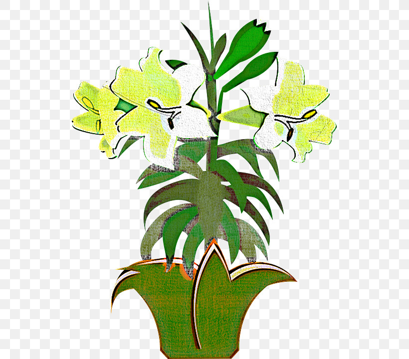 Flower Plant Leaf Houseplant Flowerpot, PNG, 531x720px, Flower, Flowerpot, Houseplant, Leaf, Plant Download Free