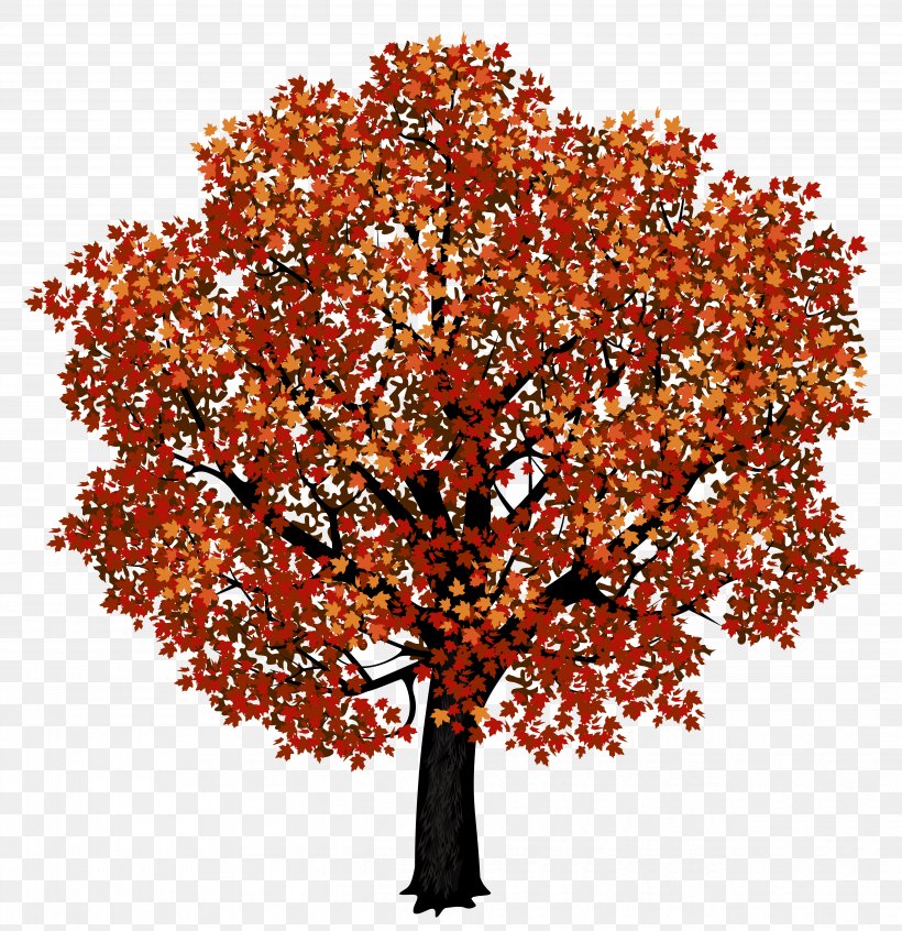 Red Maple Japanese Maple Autumn Leaf Color Clip Art, PNG, 5081x5245px, Red Maple, Autumn, Autumn Leaf Color, Branch, Flowering Plant Download Free
