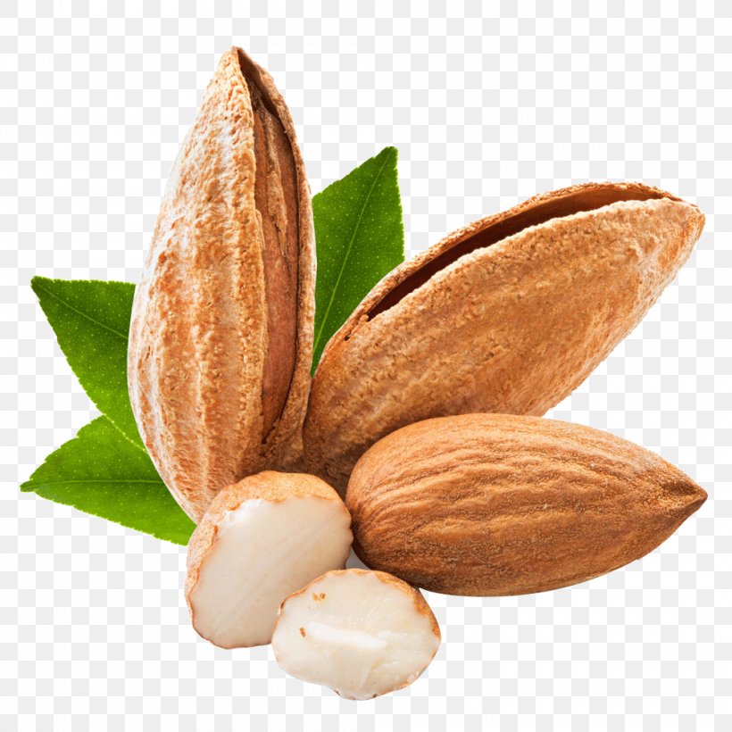 Coffee Almond Apricot Kernel Nut, PNG, 1000x1000px, Coffee, Almond, Amygdalin, Apricot Kernel, Arabica Coffee Download Free
