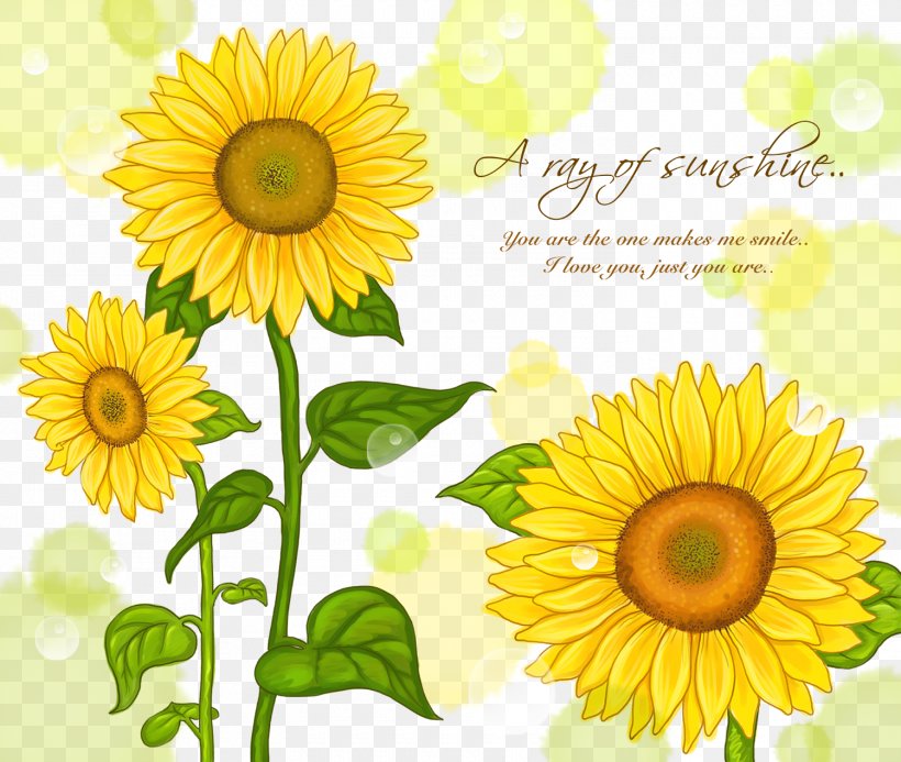 Common Sunflower Watercolor Painting Illustration, PNG, 1500x1269px, Common Sunflower, Asterales, Cut Flowers, Daisy Family, Floral Design Download Free