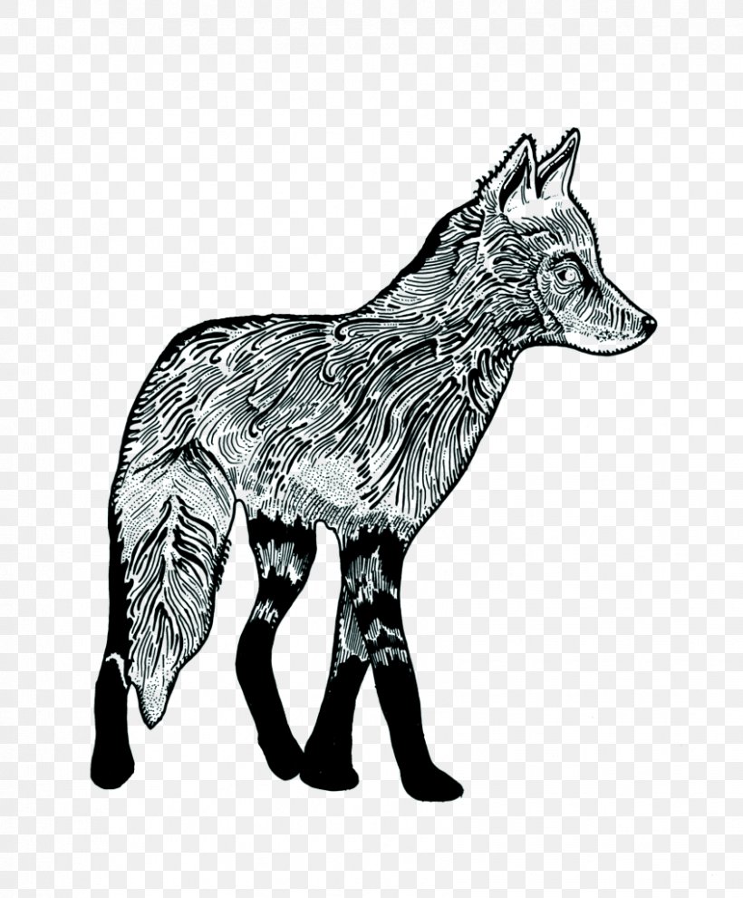 Red Fox Gray Wolf ZAPspace Trampoline Park Jackal Donkey, PNG, 848x1024px, Red Fox, Alt Attribute, Animal, Bar, Black And White Download Free