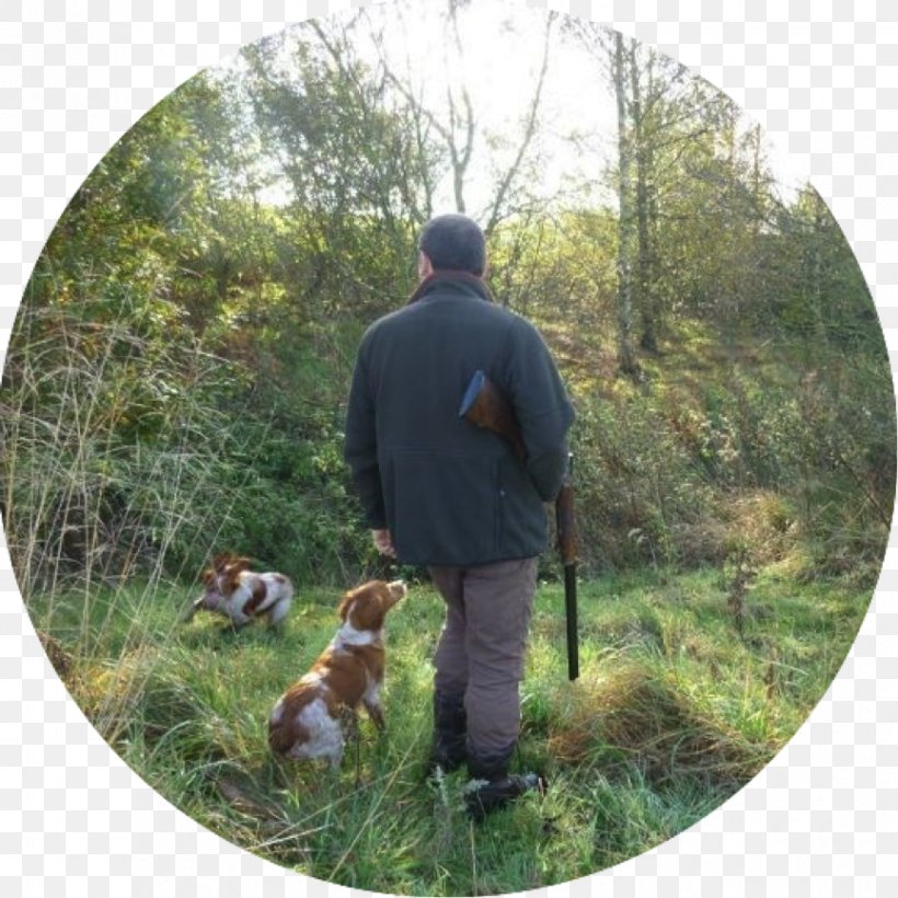 Sport Burgie House Recreation Brodie Castle Hunting, PNG, 865x865px, Sport, Brodie Castle, Dog, Ecosystem, Fauna Download Free