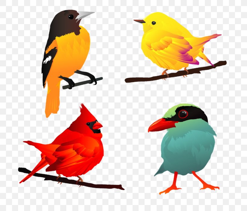 Bird Clip Art, PNG, 700x700px, Bird, Beak, European Robin, Fauna, Graphic Arts Download Free