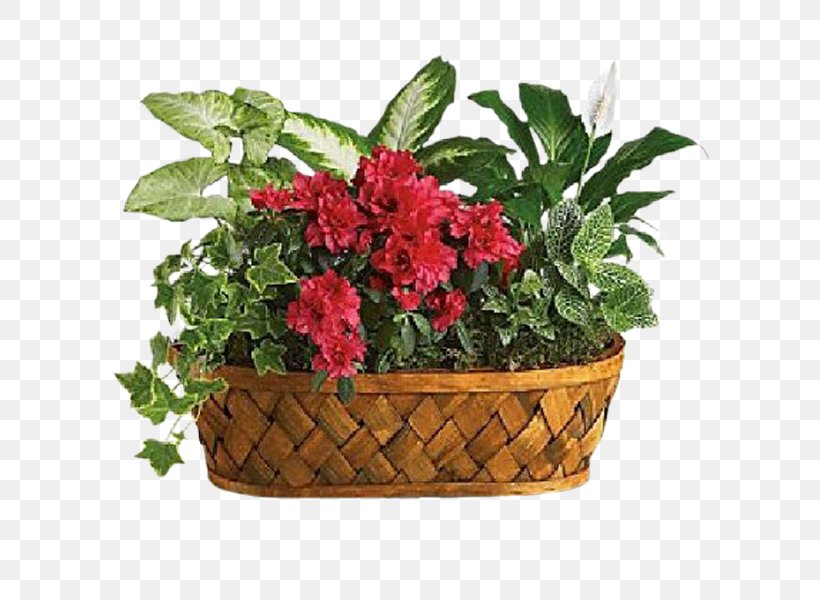 Flower Delivery Teleflora Floristry Plants, PNG, 600x600px, Flower, Annual Plant, Basket, Cut Flowers, Floral Design Download Free