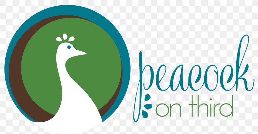 Peacock On Third Logo Of NBC Graphic Design, PNG, 1320x687px, Logo, Bardstown, Beak, Brand, Grass Download Free