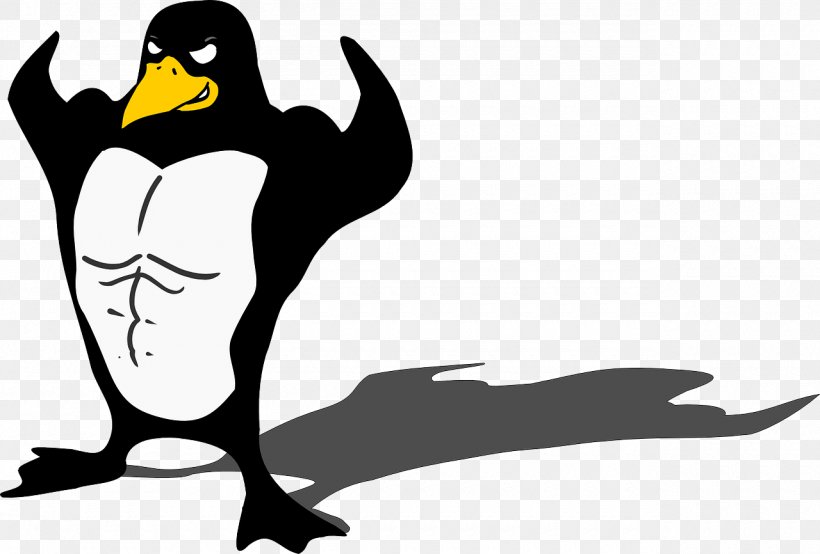 Penguin Bird Muscle Biceps Clip Art, PNG, 1280x866px, Penguin, Art, Beak, Biceps, Bird Download Free