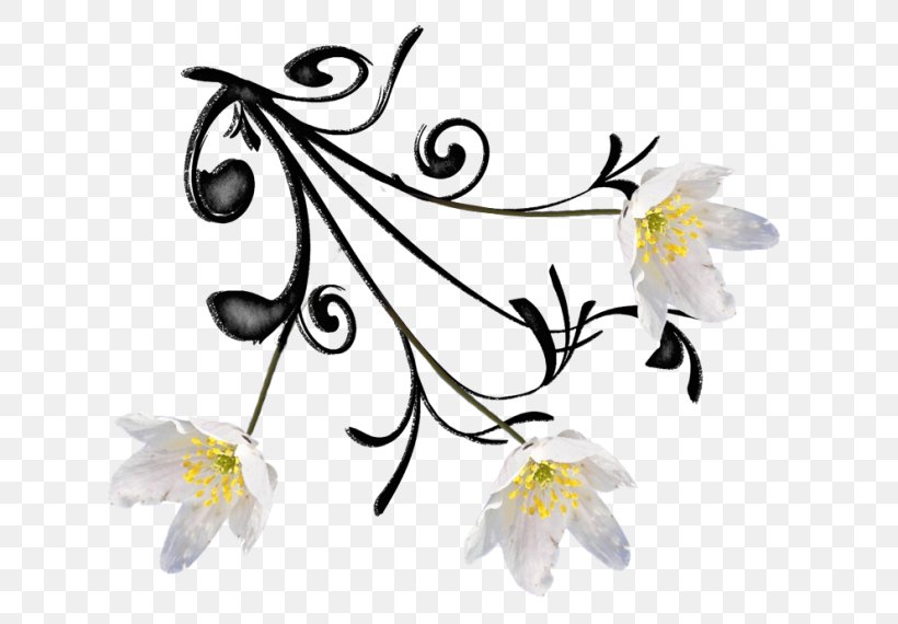Floral Design Cut Flowers Plant Stem, PNG, 650x570px, Floral Design, Art, Artwork, Black And White, Body Jewellery Download Free