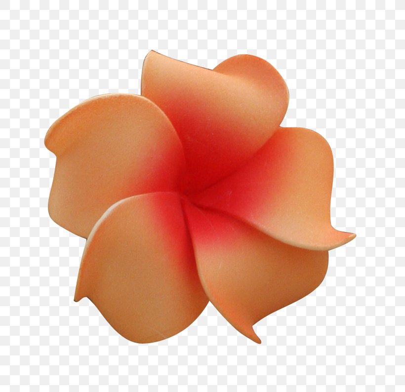 Flower Hawaii Clip Art, PNG, 793x794px, Flower, Hawaii, Hawaiian, Luau, Orange Download Free